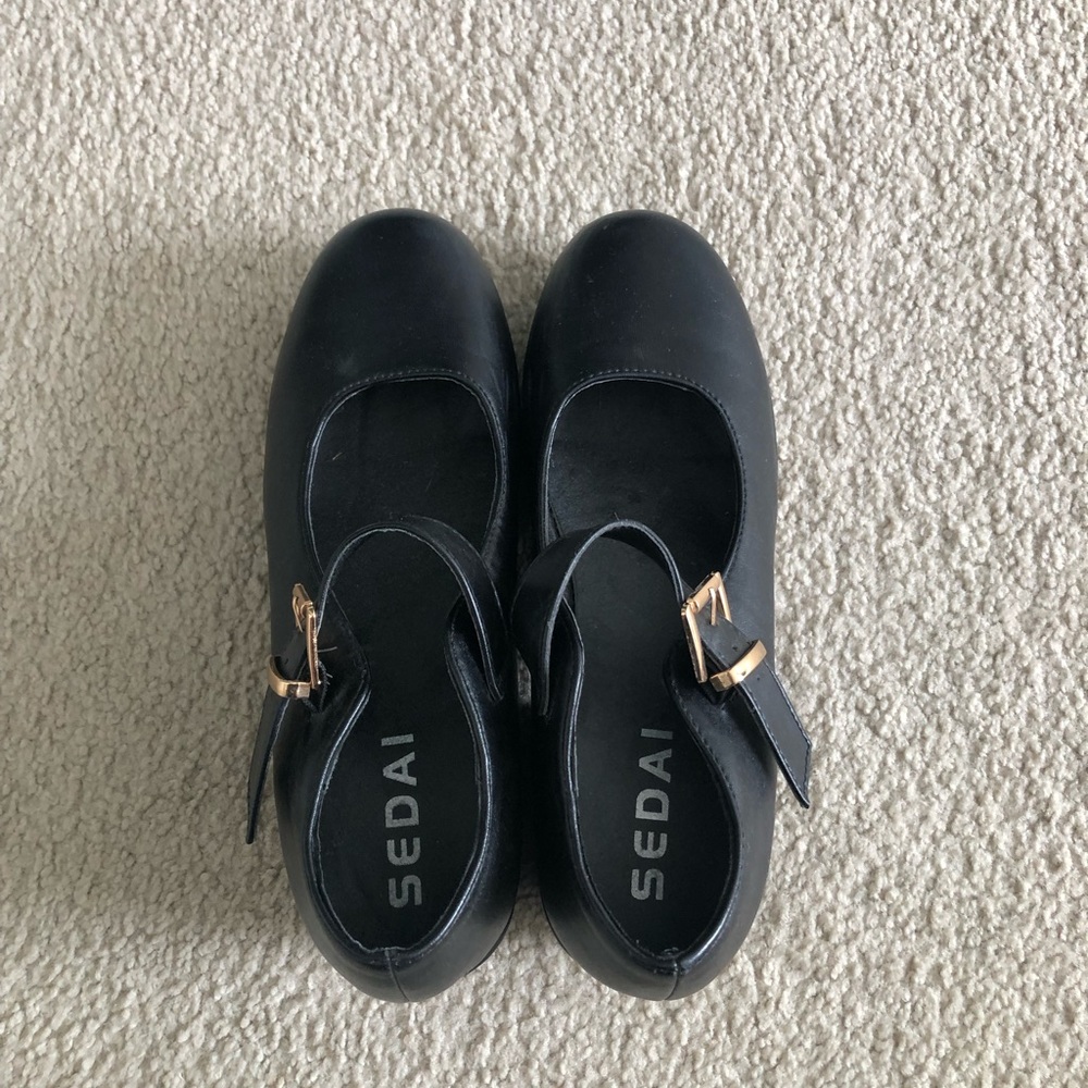 Sedai Black Mary Jane Shoes